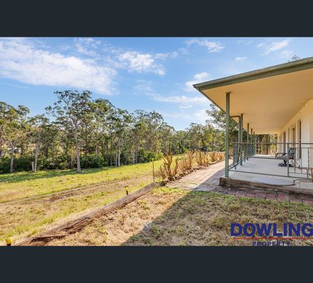 556 Limeburners Creek Road, Clarence Town, NSW 2321 - Photo 5