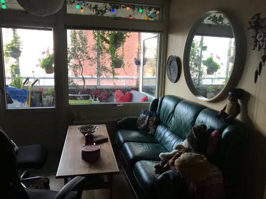 Rum i lägenhet uthyres till kvinnlig student - Foto 1