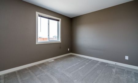 57 Mckenzie, Steinbach, MB - Photo 3