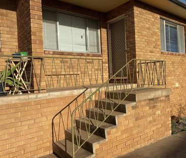 Ray White Real Estate Parkes - Photo 4