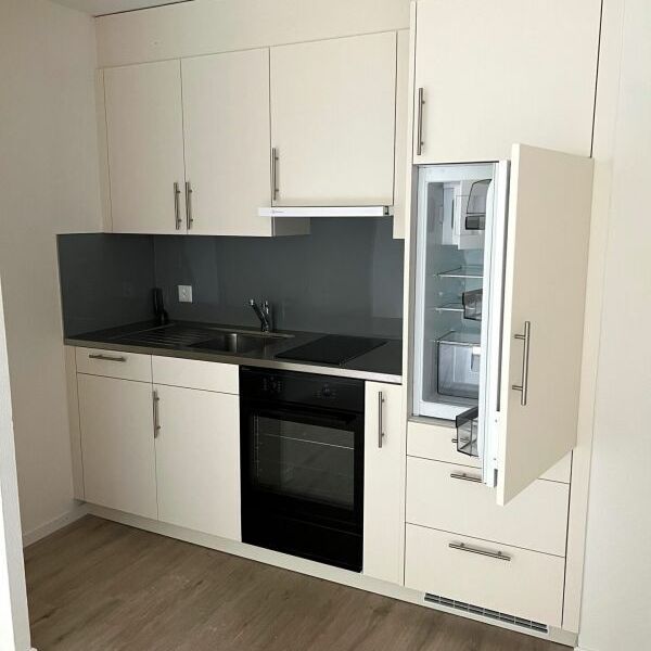 2.5-room apartment with living room garden - Foto 1