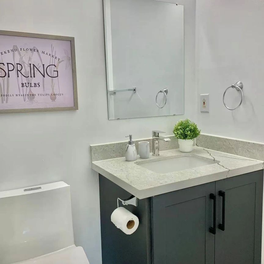 856 Finley Avenue #Basement - Photo 1