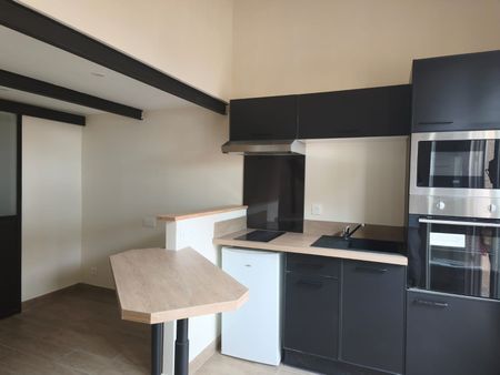 Location Appartement 2 pièces 22m² LE BARCARES 66420 - Photo 5