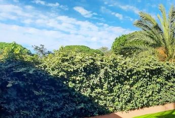 Cabopino, Marbella Este, Marbella, Andalusia 29018