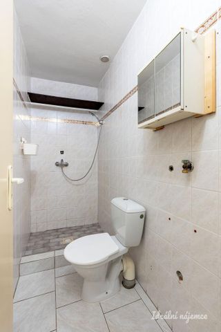 Pronájem bytu 1+kk 20 m2 - Fotografie 3