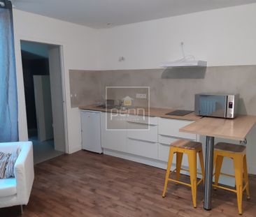 Location Appartement 1 pièce 25m² LA GUERCHE DE BRETAGNE 35130 - Photo 4