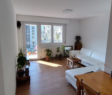 2.5 Zimmer - Photo 1