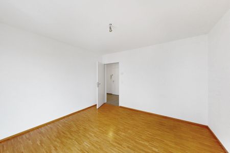 Living on the Rhine River - Photo 2