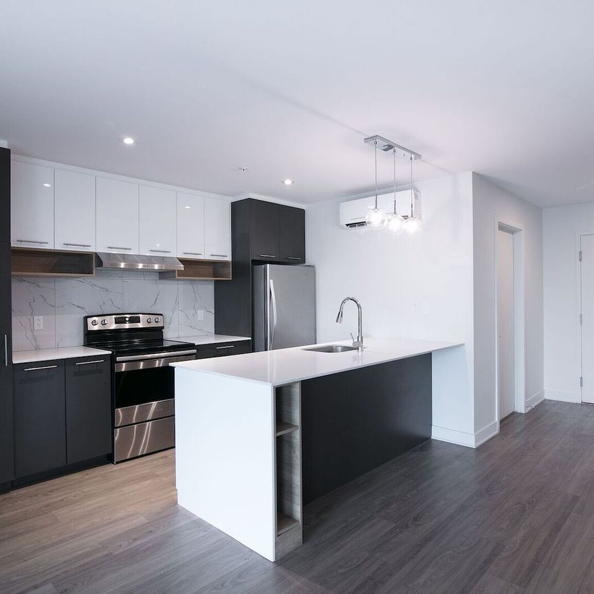 9675 Papineau - Photo 1