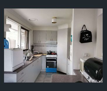 3 Ardmore St, Cranbourne, Vic 3977 - Photo 1