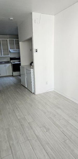 Shawinigan 3 1/2 style loft ouvert à louer - Photo 1