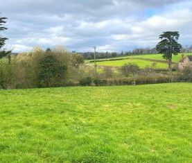 Barton Leys, Berry Pomeroy, Totnes - Photo 4