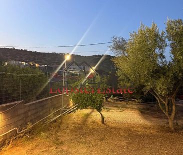 Μονοκατοικία για ενοικίαση Κίτσι (Κορωπί) - Φωτογραφία 1