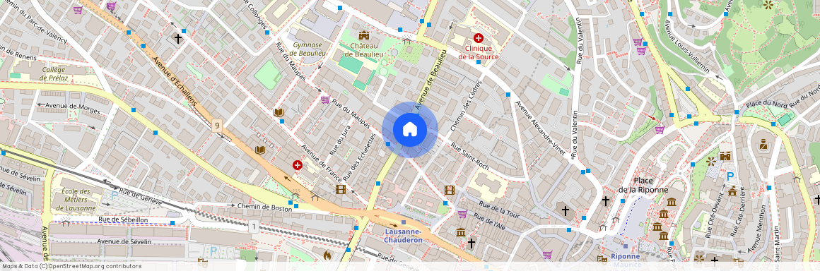 1004, Lausanne, Avenue De Beaulieu, 10