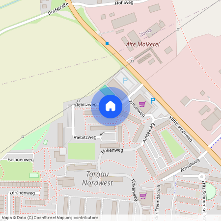 Kiebitzweg 15, 04860 Sachsen - Torgau