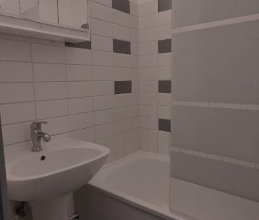 Appartement F1 (17.68m² Carrez) à louer à STRASBOURG - Photo 3