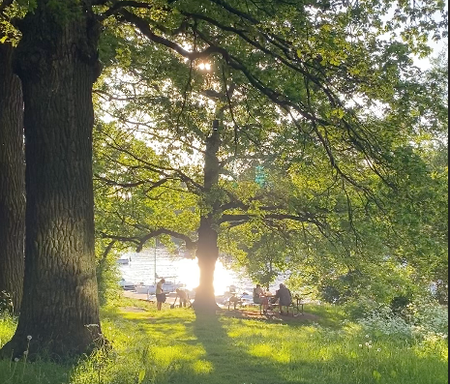 Anders Reimers väg, Stockholm - Foto 2