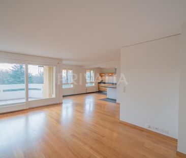 Magnifique appartement traversant avec 2 balcons et vue dégagée - Foto 5