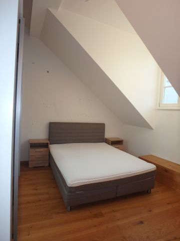 NEUWERTIGE DACHGESCHOSSWOHNUNG MIT GEMEINSCHAFTSTERRASS NÄHE DPU ZU VERMIETEN (MIT KLIMA-ANLAGE ! ) - Photo 2