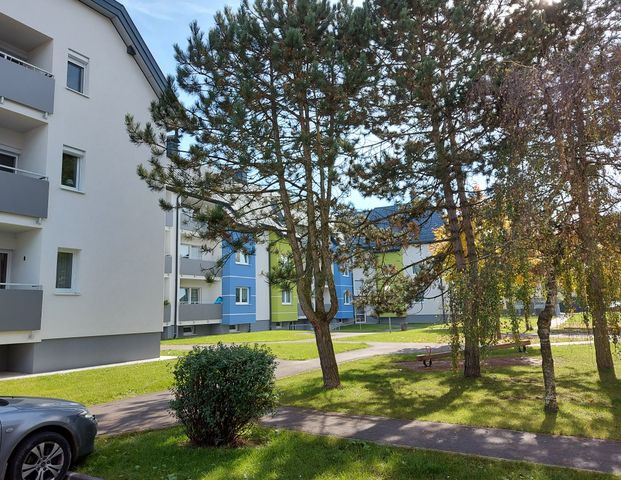 St. Pantaleon, 3 Zimmer, 76 m² / 01881 00093 - Photo 1