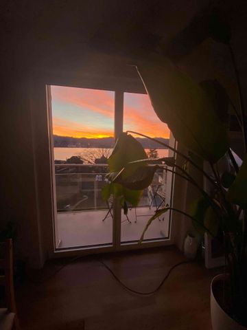 2.5 Zimmer, 70 m², 3. Stock - Photo 3