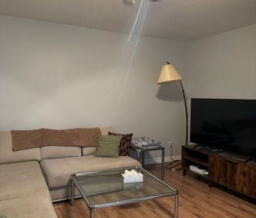 For Lease - 54 Walter Street, Kitchener, Ontario - Photo 2