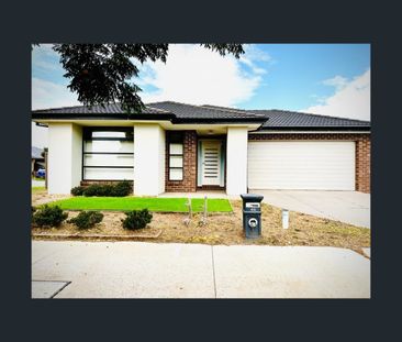 44 Coltan Avenue, Cobblebank, Vic 3338 - Photo 5