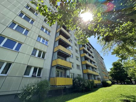 Geräumige 2-Raum-Wohnung mit Balkon zum Sofortbezug - Foto 2