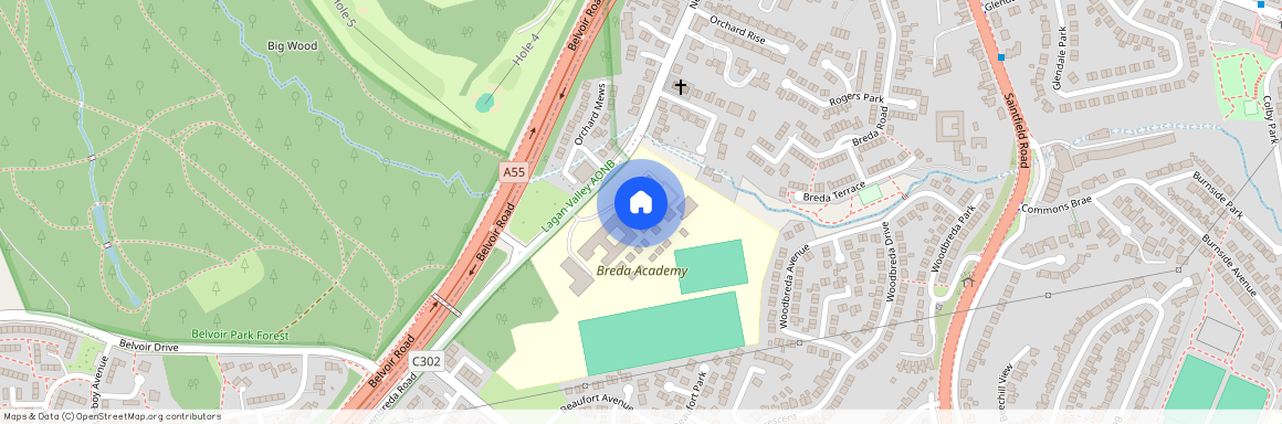 Newtownbreda Road, Belfast, BT8