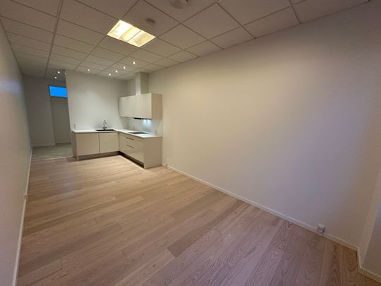 Central placering med stor tagterrasse - Photo 1