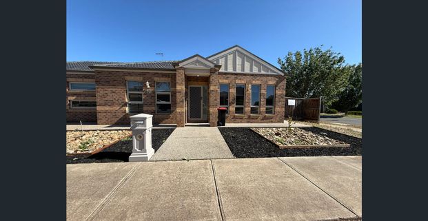 A perfect family home in heart of Harkness - Photo 1