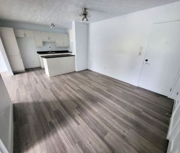 Appartement 4 ½ rénové à louer – Sherbrooke, Secteur Université & M... - Photo 2