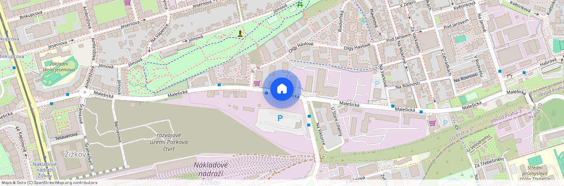 Malešická, Praha - Žižkov