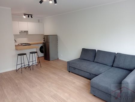 JASNE BŁONIA do wynajęcia 2 pok. po remoncie (435639) - Фото 3