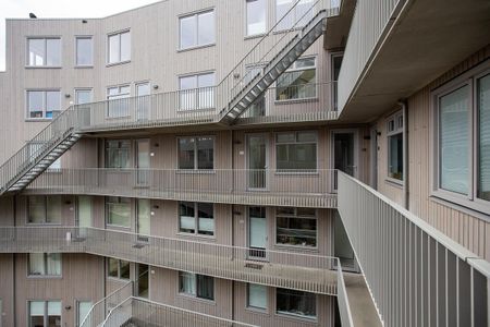 Albertina Sisulupad 188 - Photo 5