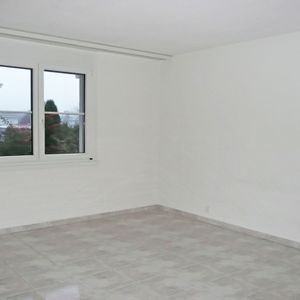 Charmante, geräumige Wohnung im Melchrütiquartier - Foto 2