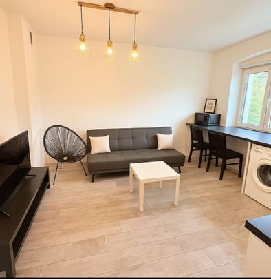 Do wynajęcia 2 pok mieszkanie 38 m² - Photo 1