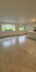 Blueridge Apartments - Photo 3