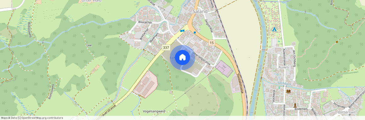 8493, Bauma, Eichholzstrasse, 6