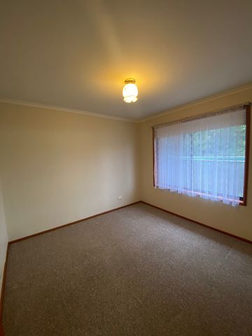 291 Downside Street, East Albury NSW 2640 - House For Rent | Domain - Photo 2