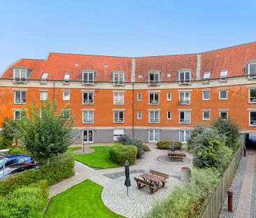 Afd. 44 Mejerigrunden - Photo 6