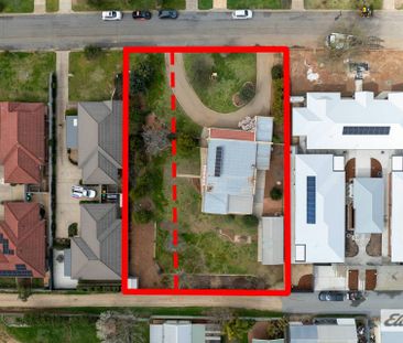 "As rare as hens' teeth" - Photo 5