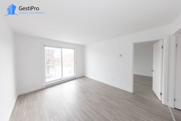 3435-3445 Petitclerc - Photo 1