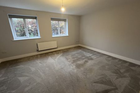 Lily Close - Photo 2