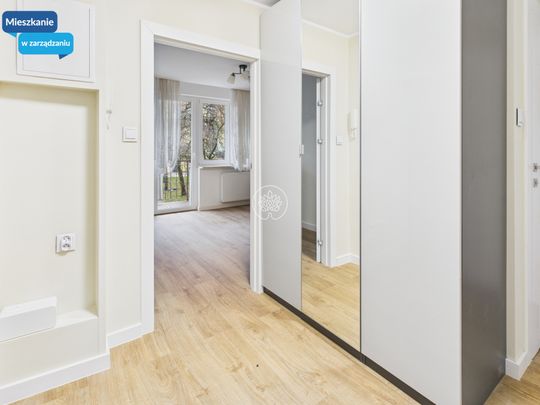 3 pokojowe mieszkanie po generalnym remoncie - Photo 1