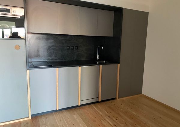 Apartamento T1 para Arrendar Mobilado e Equipado na Campanhã