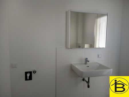 15590 attraktive Wohnung Nähe Bahnhof Loosdorf - unbefristet! - Photo 2