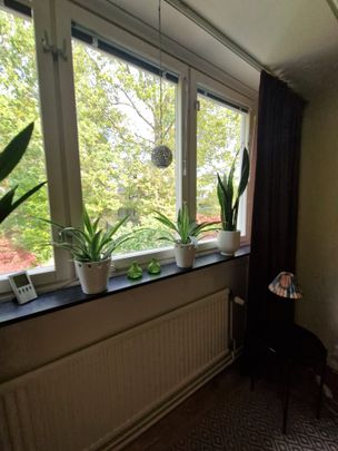 Rudsjövägen, Nacka - Photo 1