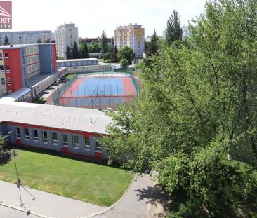 2+1 Křižíkova - Olomouc - Photo 6