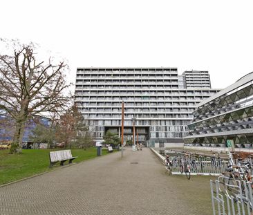 Professor de Moorplein, 358 - Foto 1